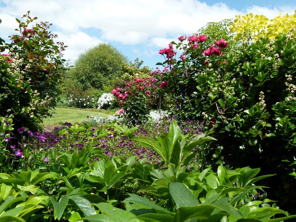 Hadleigh Boutique Lodge Tamahere ภายนอก รูปภาพ