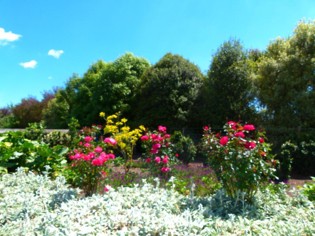 Hadleigh Boutique Lodge Tamahere ภายนอก รูปภาพ