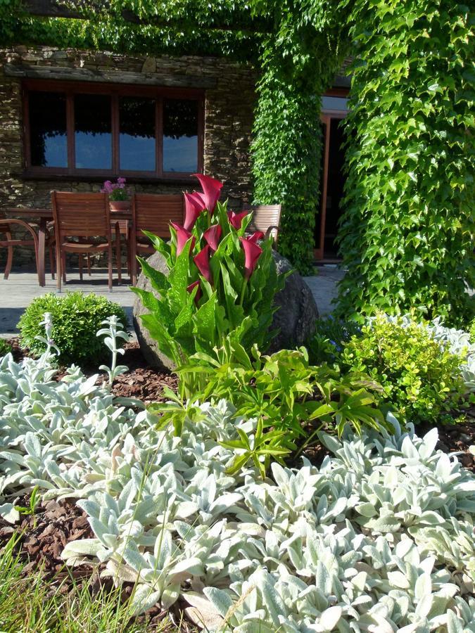 Hadleigh Boutique Lodge Tamahere ภายนอก รูปภาพ