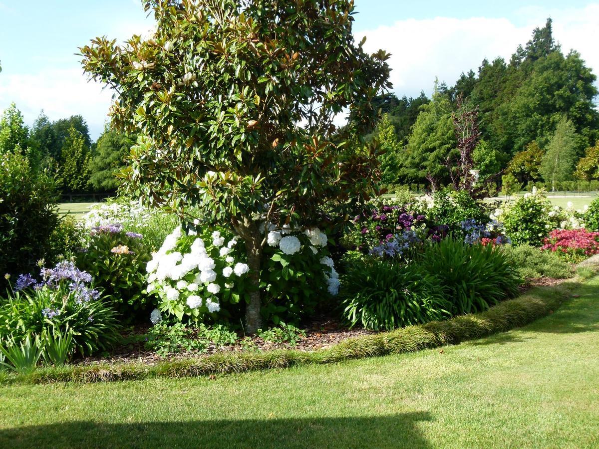 Hadleigh Boutique Lodge Tamahere ภายนอก รูปภาพ