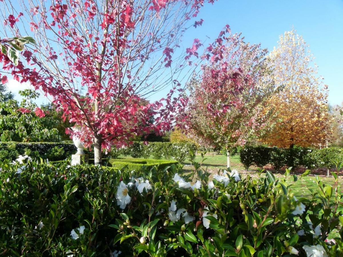 Hadleigh Boutique Lodge Tamahere ภายนอก รูปภาพ